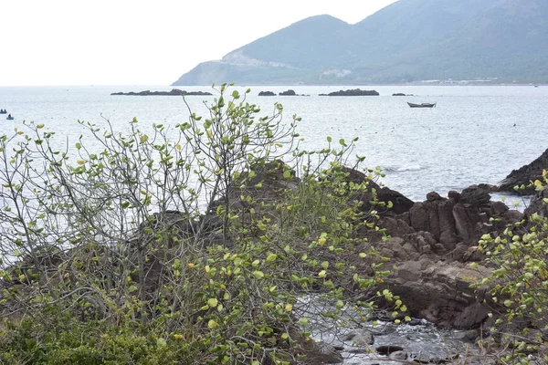 Vista Bahía Diamantes Del Mar Del Sur China Provincia Khanh — Foto de Stock