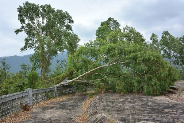 Provincia di Khanh Hoa — Foto Stock