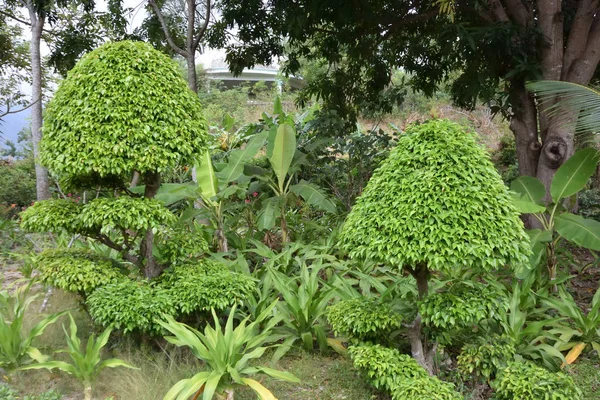 Provincia de Khanh Hoa — Foto de Stock