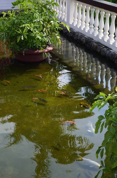 Bungalow im tropischen Garten — Stockfoto