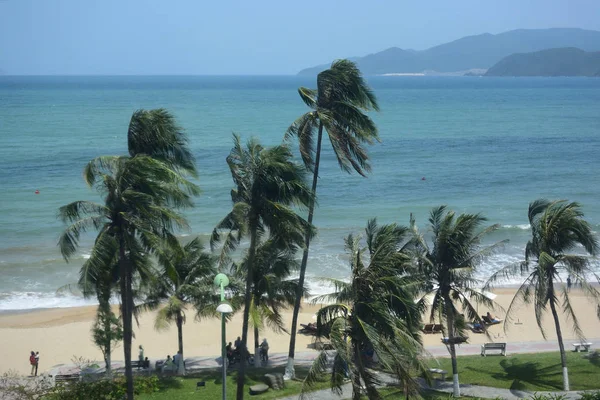 Mar del Este y playa — Foto de Stock