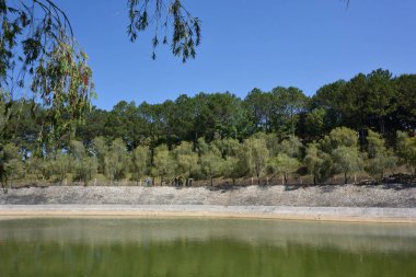 Dalat'taki Thienvien Manastırı Chuk Lam