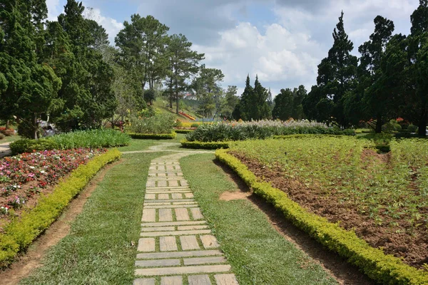 Park kwiatów Dalat — Zdjęcie stockowe