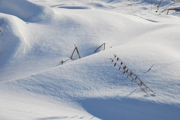 Cubierta de nieve en la orilla del río Irtysh — Foto de Stock