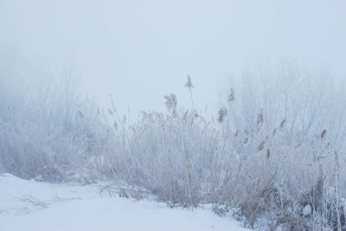 Omsk yakınlarında kış sis, Sibirya Rusya