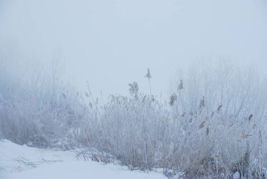 Omsk yakınlarında kış sis, Sibirya Rusya