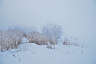 Omsk yakınlarında kış sis, Sibirya Rusya