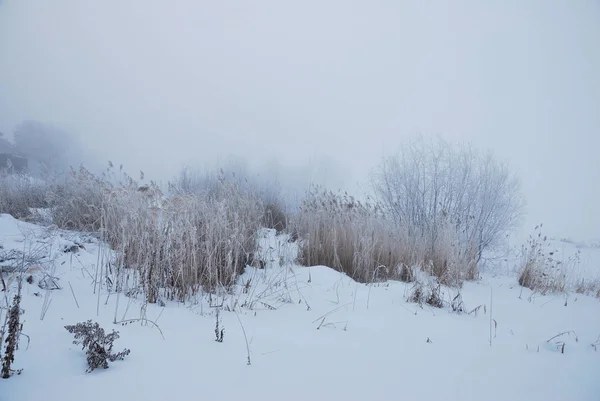 Niebla de invierno en las inmediaciones de Omsk, Siberia Rusia —  Fotos de Stock