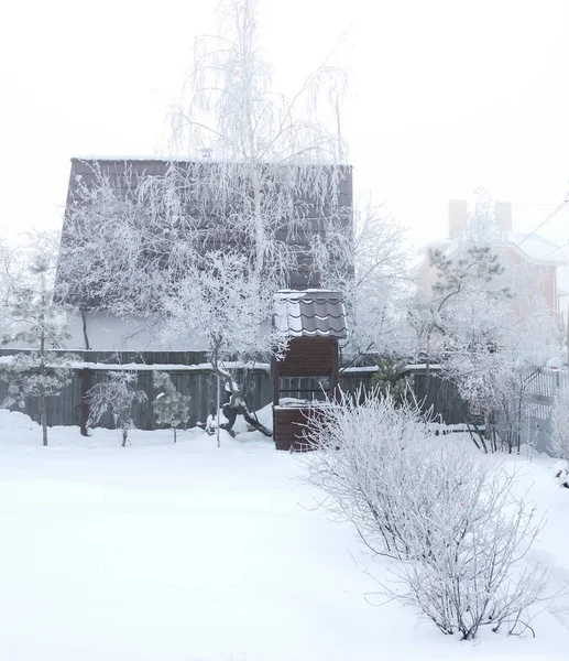 옴스크, 시베리아 러시아 부근의 겨울 안개 — 스톡 사진