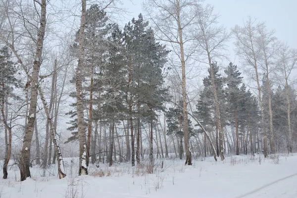 Winternebel in der Nähe von Omsk, Sibirien Russland — Stockfoto