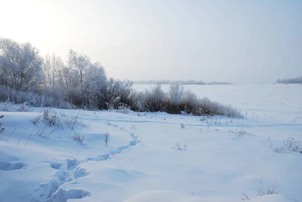 ロシア・シベリア・オムスク付近の冬霧 — ストック写真