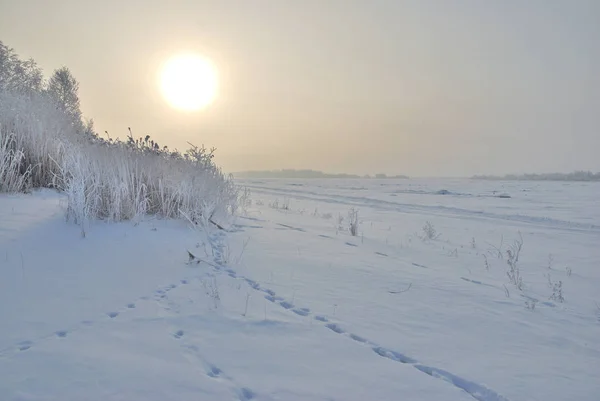 Winter mist in de nabijheid van Omsk, Siberië Rusland — Stockfoto