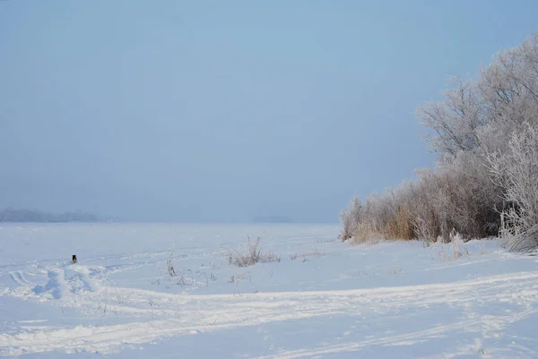 Winter fog in the vicinity of Omsk, Siberia Russia — Stock Photo, Image