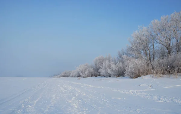 Winter mist in de nabijheid van Omsk, Siberië Rusland — Stockfoto