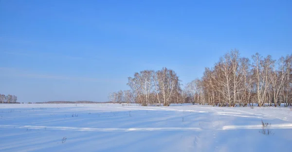 Winter landschap van Siberische velden — Stockfoto
