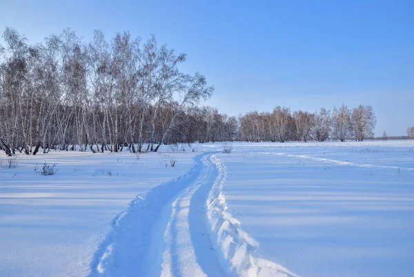 Зимний пейзаж сибирских месторождений — стоковое фото