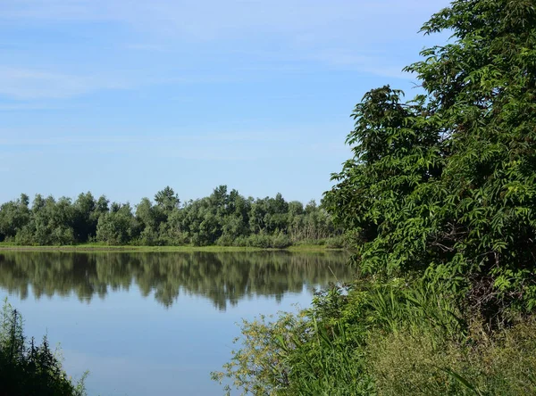 Irtysh Nehri'nin kıyısında