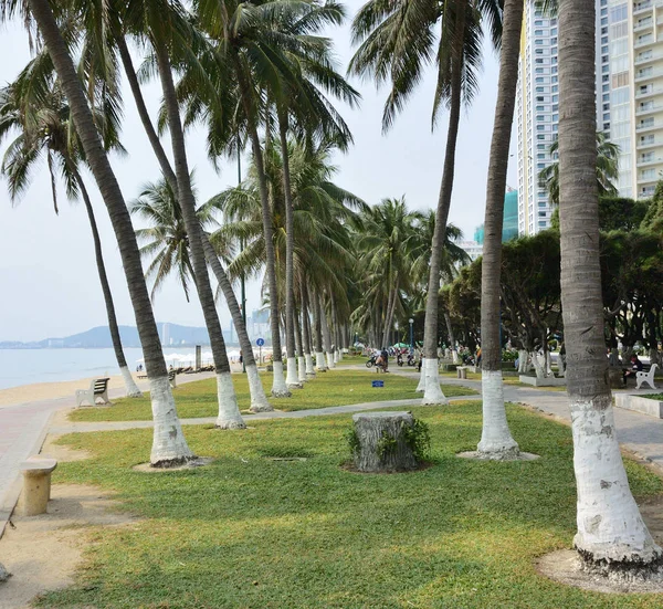 Ville de Nha Trang — Photo