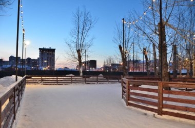 Kış Sibirya orman, Omsk bölge 