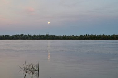 Irtysh Nehri'nin kıyısında
