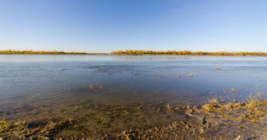 Omsk Bölgesindeki Irtysh Nehri'nin sonbahar kıyısı görünümü