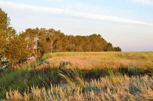 Abend am Ufer des Irtysch, Region Omsk, Sibirien, Russland — Stockfoto