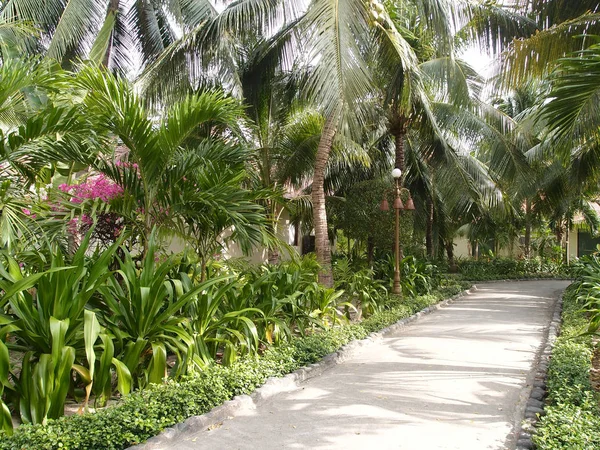 Bungalow i den tropiska trädgården — Stockfoto