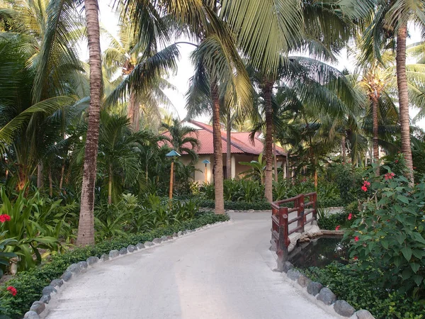 Bungalow im tropischen Garten — Stockfoto