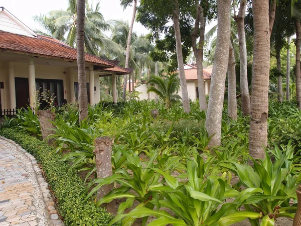Μπανγκαλόου στον τροπικό κήπο — Φωτογραφία Αρχείου