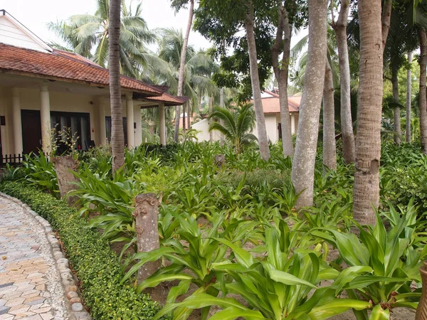 Bungalow i den tropiska trädgården — Stockfoto