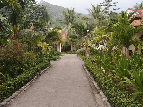 Tropikal bahçede Bungalov — Stok fotoğraf