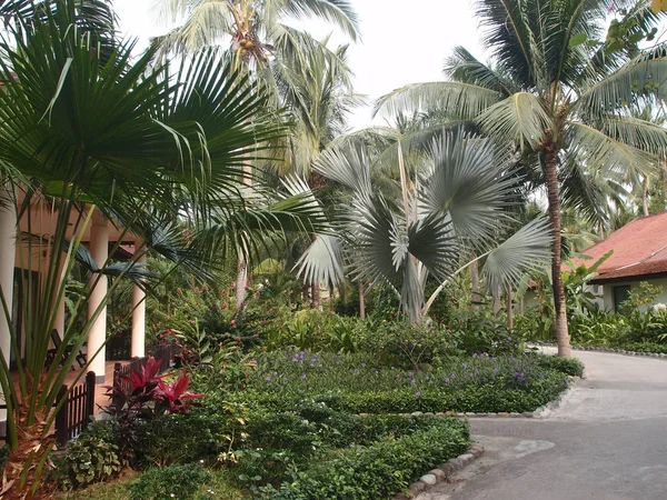 Bungalow en el jardín tropical — Foto de Stock