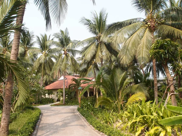 热带花园的简易别墅 — 图库照片