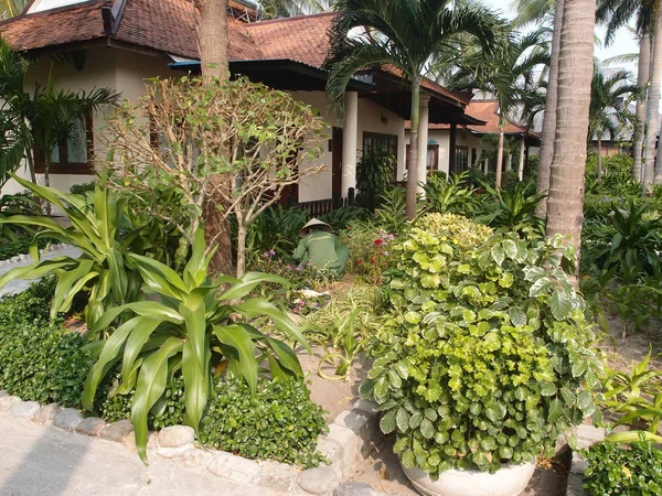 Bungalow in de tropische tuin — Stockfoto