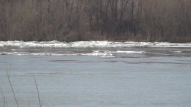 Irtysh Nehri 'nde Buz Akıntısı
