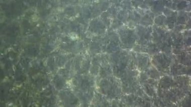 Kırım kıyısında açık deniz