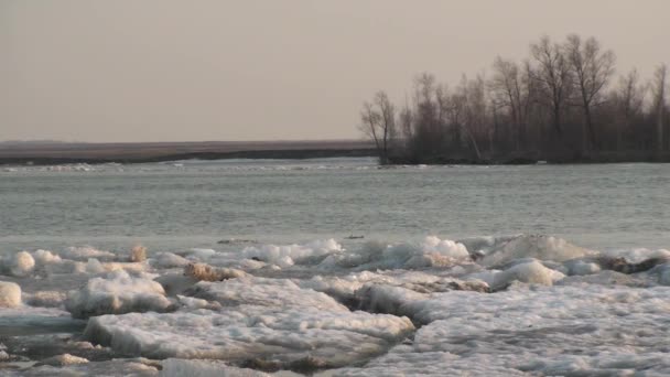 Ledová Tříšť Řece Irtysh — Stock video
