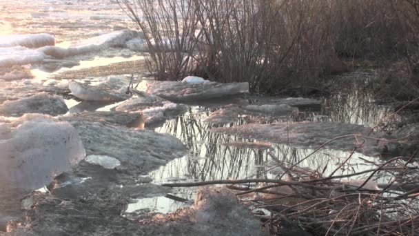 Deriva Hielo Río Irtysh — Vídeos de Stock