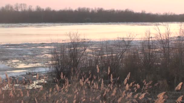 アーティシ川の流氷 — ストック動画