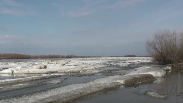 Eisdrift Auf Dem Irtysh River — Stockvideo