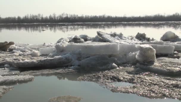 Льодовиковий Дрейф Річці Іртиш — стокове відео