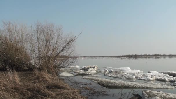 Eisdrift Auf Dem Irtysh River — Stockvideo