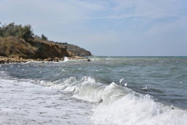 Sivastopol 'un Nakhimovsky bölgesindeki kayalık kıyı manzarası