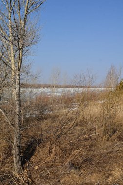 Irtysh nehri üzerinde buz akıntısı, Omsk bölgesi, Sibirya                                    