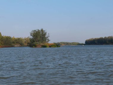 İrlanda nehri yazın ortasında, Omsk bölgesi, Sibirya, Rusya