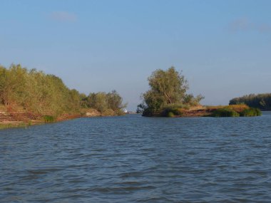 İrlanda nehri yazın ortasında, Omsk bölgesi, Sibirya, Rusya