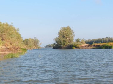 İrlanda nehri yazın ortasında, Omsk bölgesi, Sibirya, Rusya