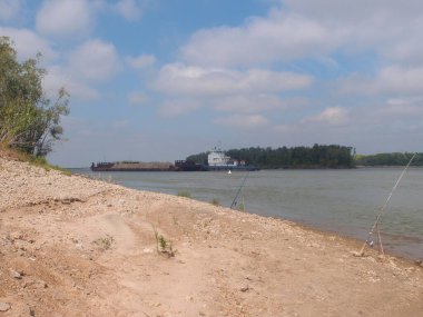 İrlanda nehri yazın ortasında, Omsk bölgesi, Sibirya, Rusya