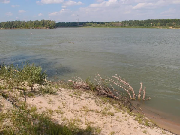 Iltysh River Middle Summer Omsk Region Siberia Russia — 图库照片