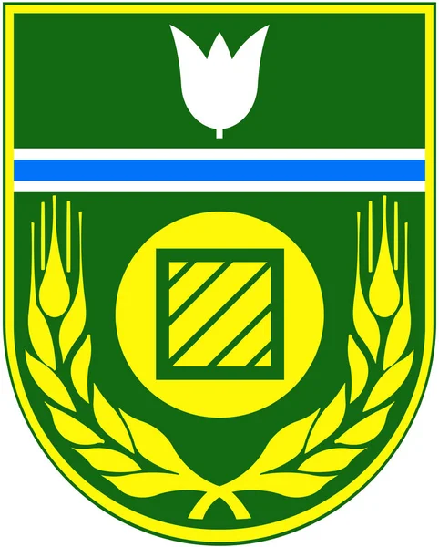 Escudo Armas Del Distrito Birobidzhan Comunidad Autónoma Judía Rusia —  Fotos de Stock